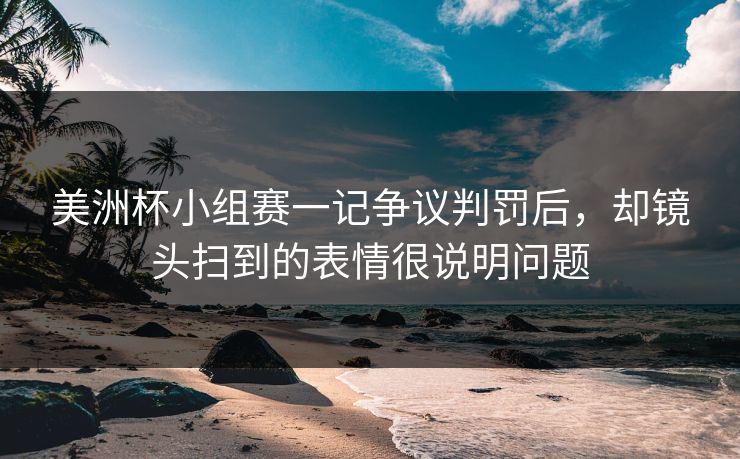 美洲杯小组赛一记争议判罚后，却镜头扫到的表情很说明问题